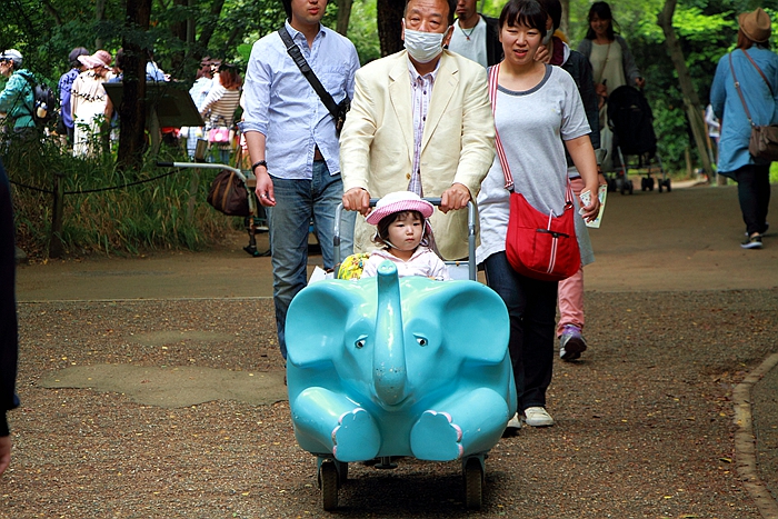 天王寺公園動物園的兒童推車