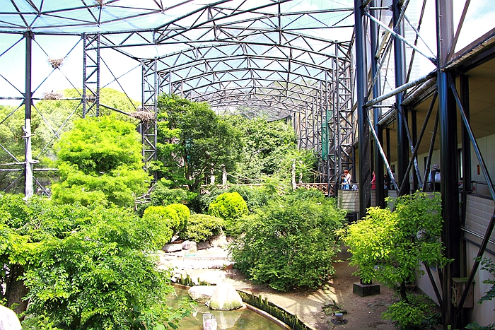 天王寺公園動物園的超大鳥籠