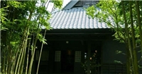 月野兔酒店 月野兔酒店