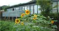 農家民宿Homey Inn Enya 農家民宿Homey Inn Enya