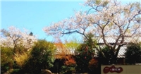 御宿開花亭日式旅館 御宿開花亭日式旅館