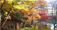 上會津屋旅館 上會津屋旅館