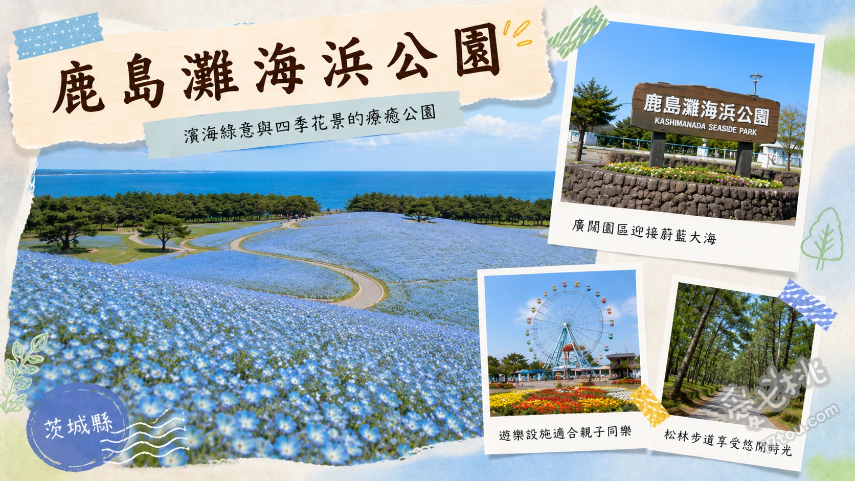 鹿島灘海浜公園｜茨城文青必訪海景勝地，漫步千米木棧道 全長一千公尺的海岸木棧道、可眺望太平洋與松林絕景的展望築山、適合孩子放電的兒童遊樂區