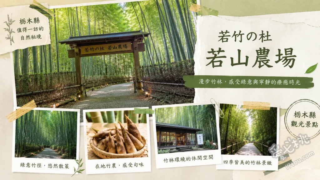 宇都宮若竹之森若山農場｜走進神劍闖江湖百年絕美竹林秘境 漫步電影取景地絕美孟宗竹林、尋找罕見的龜甲竹與金明孟宗竹、欣賞週末限定的夢幻竹林夜間點燈