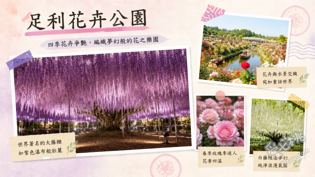 足利花卉公園｜CNN評選夢幻紫藤瀑布與日本三大冬季點燈 160年樹齡奇蹟大藤棚、80公尺長白藤隧道、冬季限定光之花庭園點燈