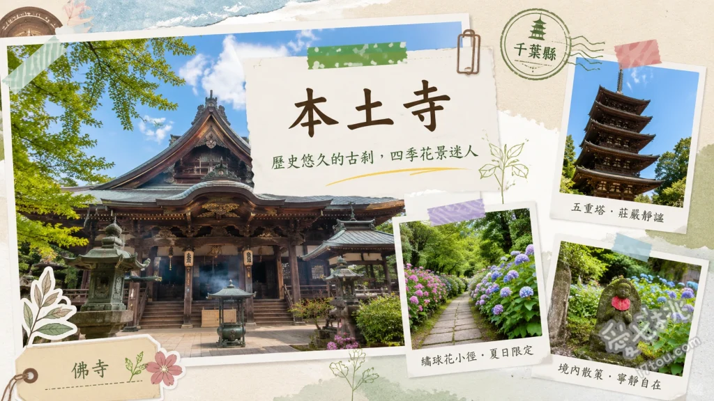 千葉松戸本土寺｜情侶約會必訪的紫陽花與紅葉絕景名所 初夏五萬株繡球花與花菖蒲絕景、秋季千株楓紅與18公尺高五重塔的同框美景、歷史悠久的仁王門與水戶黃門捐贈的古松參道