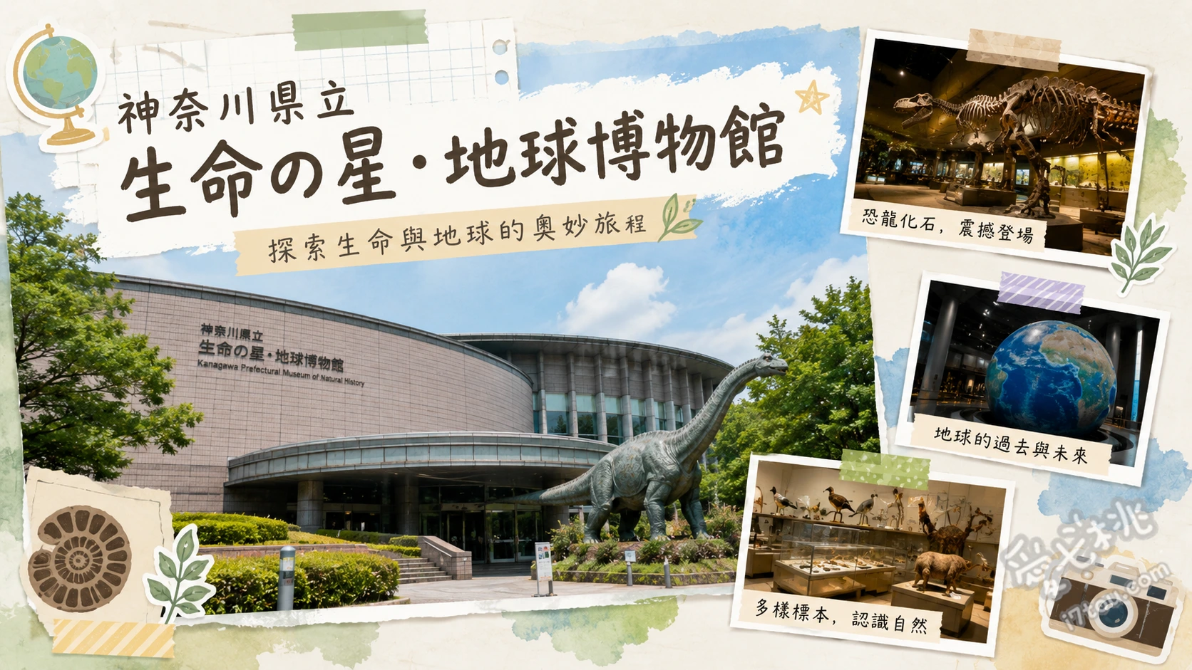 神奈川縣立生命之星・地球博物館|箱根必訪室內親子景點 高達三公尺的巨大恐龍骨骼與史前生物化石、可親手觸摸的真實隕石與菊石化石牆、陳列上萬件標本的 Jumbo Book 立體百科全書展示櫃