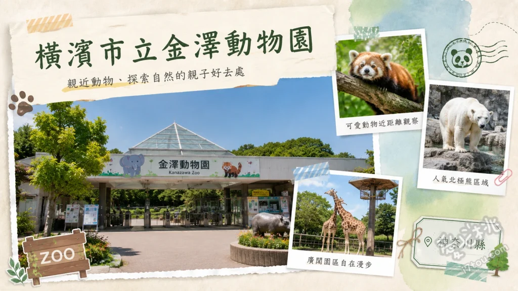橫濱市立金澤動物園｜無尾熊與超長溜滑梯的親子秘境 大洋洲區無柵欄袋鼠展示、兒童廣場超長滾輪溜滑梯、觀景台俯瞰東京灣與八景島