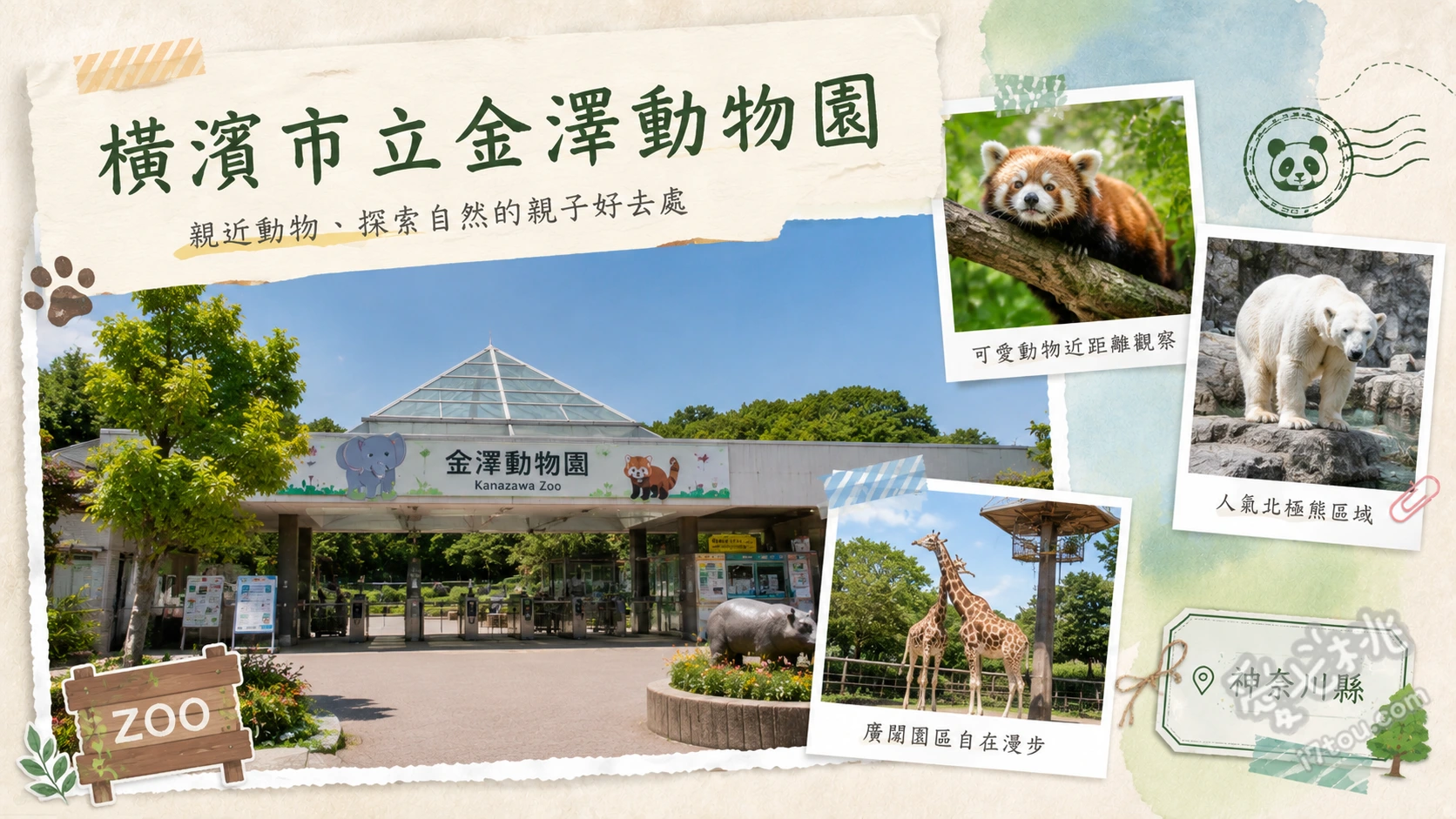 橫濱市立金澤動物園｜無尾熊與超長溜滑梯的親子秘境 大洋洲區無柵欄袋鼠展示、兒童廣場超長滾輪溜滑梯、觀景台俯瞰東京灣與八景島