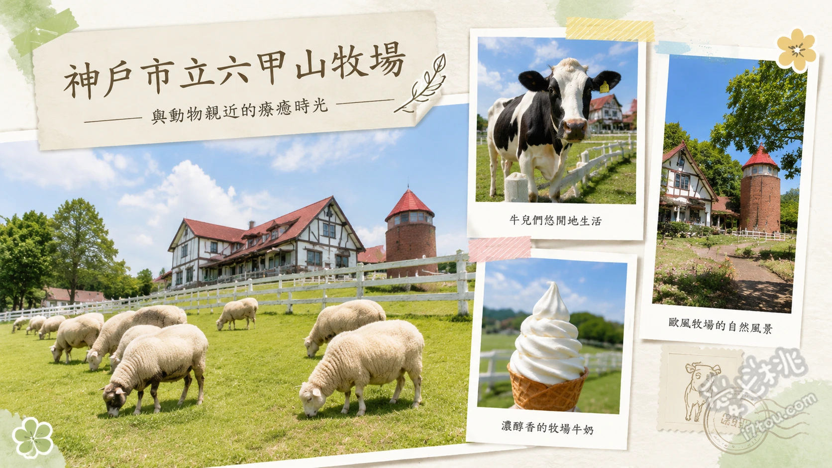 神戶市立六甲山牧場｜穿越阿爾卑斯山舊時光，與綿羊漫步的神戶秘境 阿爾卑斯風情自由放牧區、東區小牛餵奶體驗、黃金觀景點與夕陽之丘