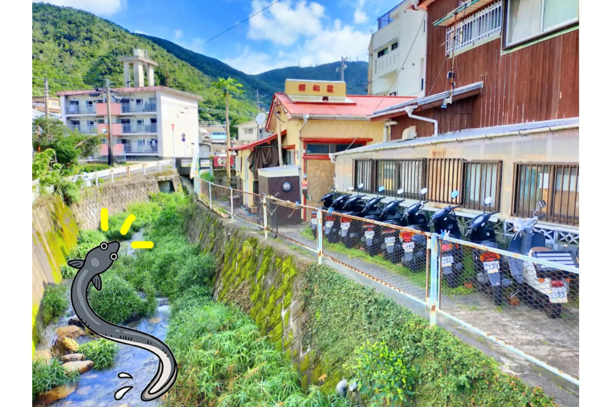 奄美昭和莊飯店