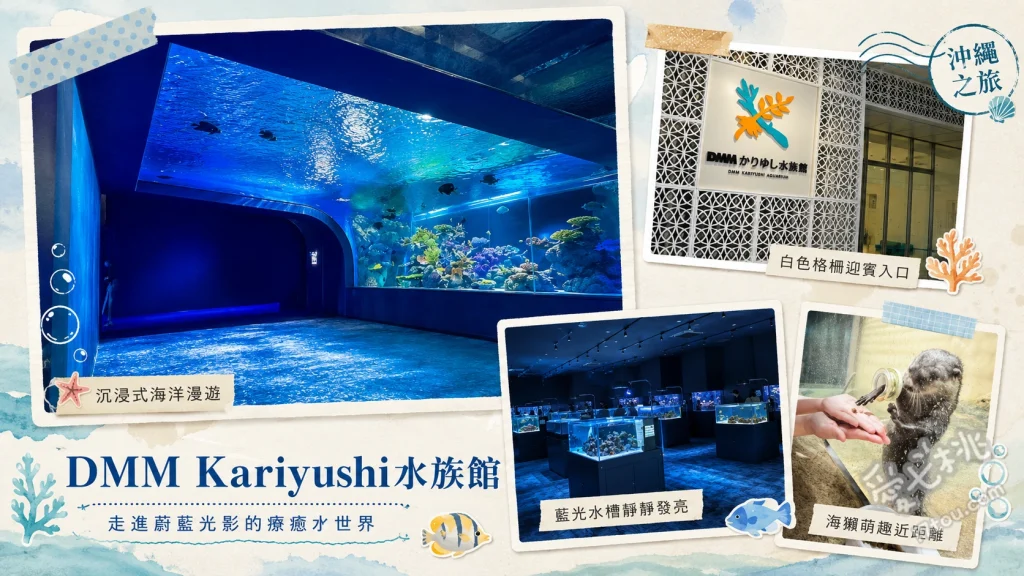 沖繩DMM水族館｜親子同遊雨天備案首選沉浸式海洋樂園 常綠之森動物餵食體驗、澄清之海透明玻璃大水槽、絢爛水母圓柱光影區