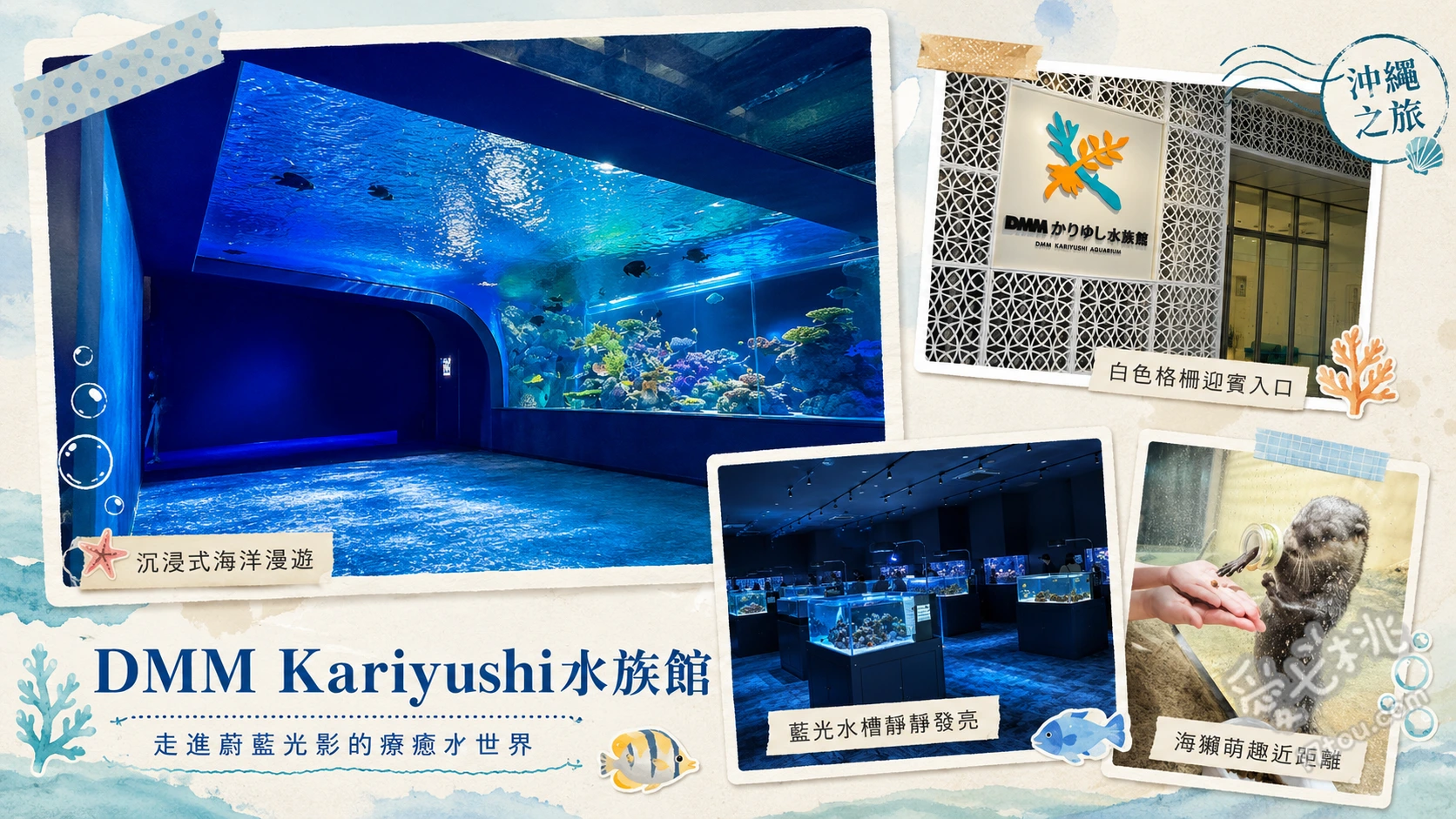 沖繩DMM水族館｜親子同遊雨天備案首選沉浸式海洋樂園 常綠之森動物餵食體驗、澄清之海透明玻璃大水槽、絢爛水母圓柱光影區