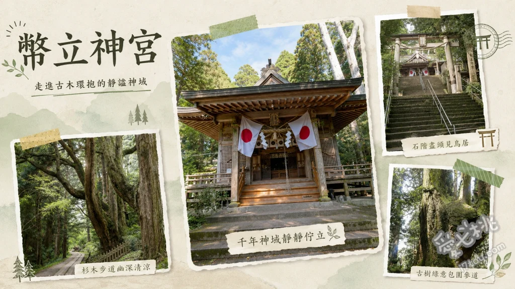 幣立神宮｜熊本隱藏版最強能量景點與千年神木參拜指南 仰望樹齡萬年的參天巨柏與神木群、漫步陽光灑落的千年杉木林石階參道、感受九州最強能量聖地的靜謐氛圍