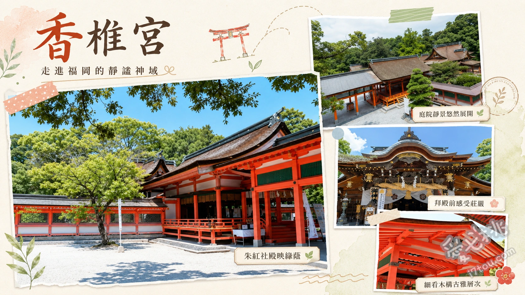 福岡香椎宮｜必訪千年夫婦之宮與不老水傳說，獨特香椎造建築 欣賞日本唯一香椎造建築的朱紅色本殿、仰望樹齡超過1800年的神功皇后御神木綾杉、尋訪傳說能延年益壽的靈泉不老水