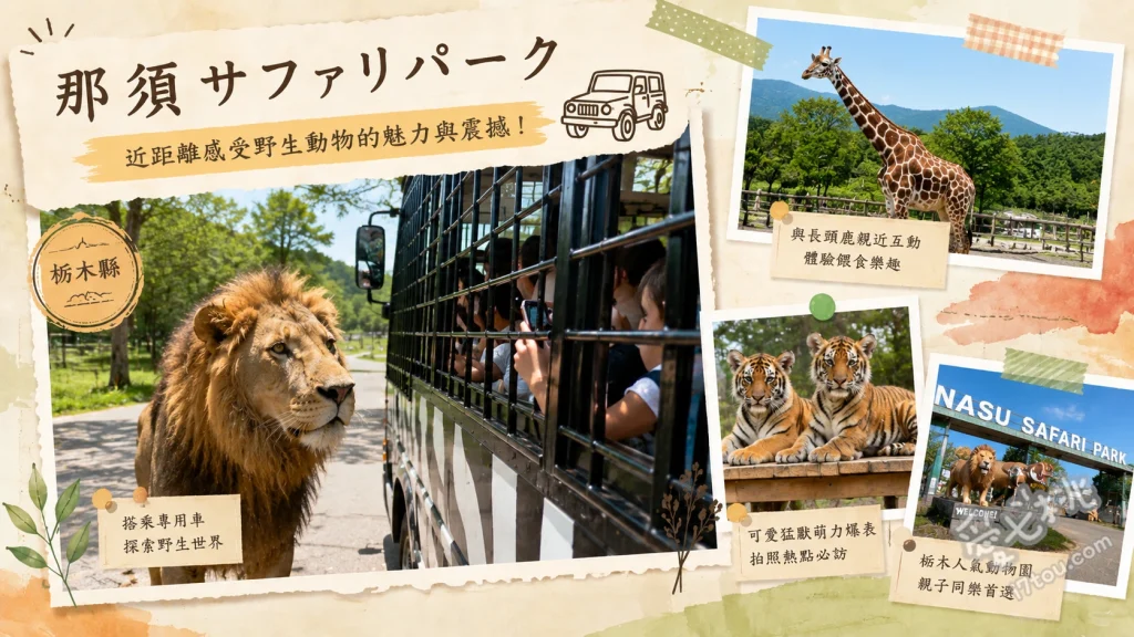 那須野生動物園｜搭乘鐵籠巴士餵獅子，自駕零距離接觸草食動物 搭乘WILD RIDE鐵籠巴士親手餵食獅子、租用園區專車自駕餵食瘋狂的草食動物、夜間野生動物園探索夜行性生態
