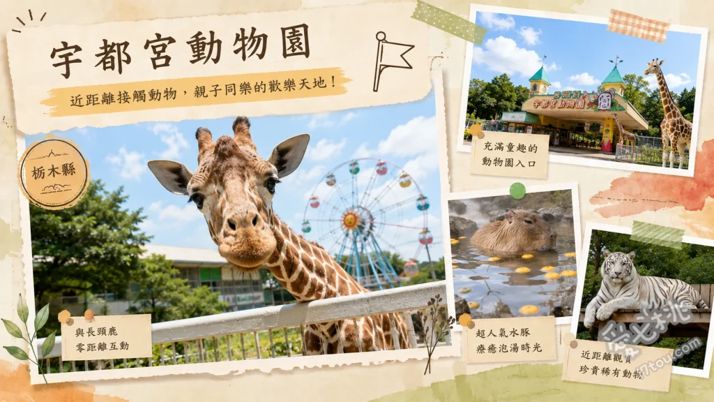 宇都宮動物園｜超近距離餵食長頸鹿與大象的復古樂園 超近距離餵食大象與長頸鹿、搭乘昭和復古風遊樂設施、觀賞稀有白老虎與猛獸