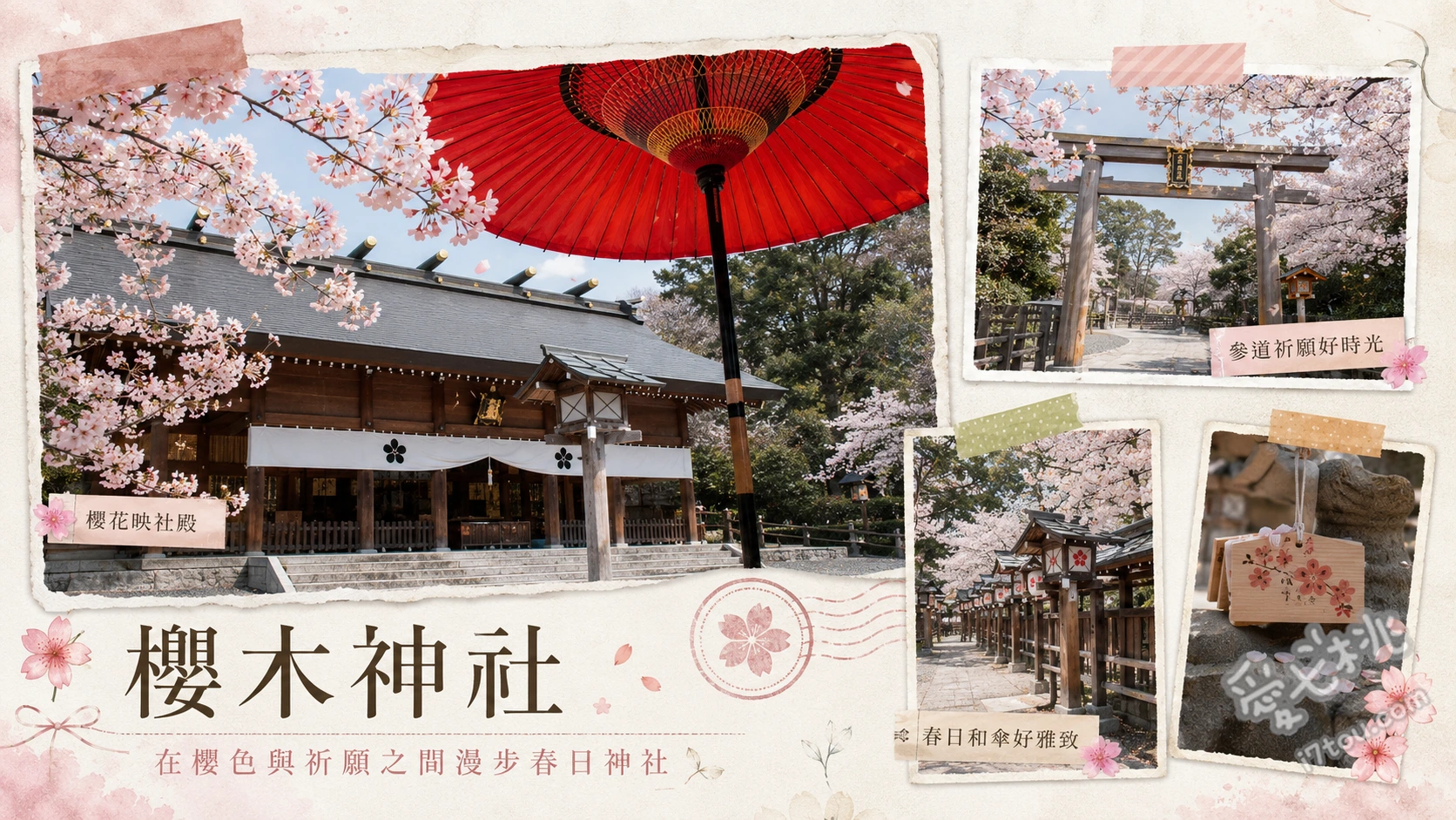 櫻木神社|千葉野田最美櫻花神社,必收夢幻蕾絲御守與限定御朱印 尋找隱藏版櫻花圖騰 (人孔蓋與手水舍)、絕美透視感蕾絲御守、參拜洗手間內的川屋神社