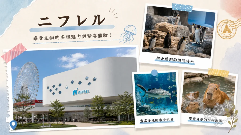 NIFREL ニフレル｜大阪約會必訪！水族館與動物園的夢幻光影展 WONDER MOMENTS 光影球體藝術、「接觸動態」無柵欄動物互動區、白老虎與水邊動物區