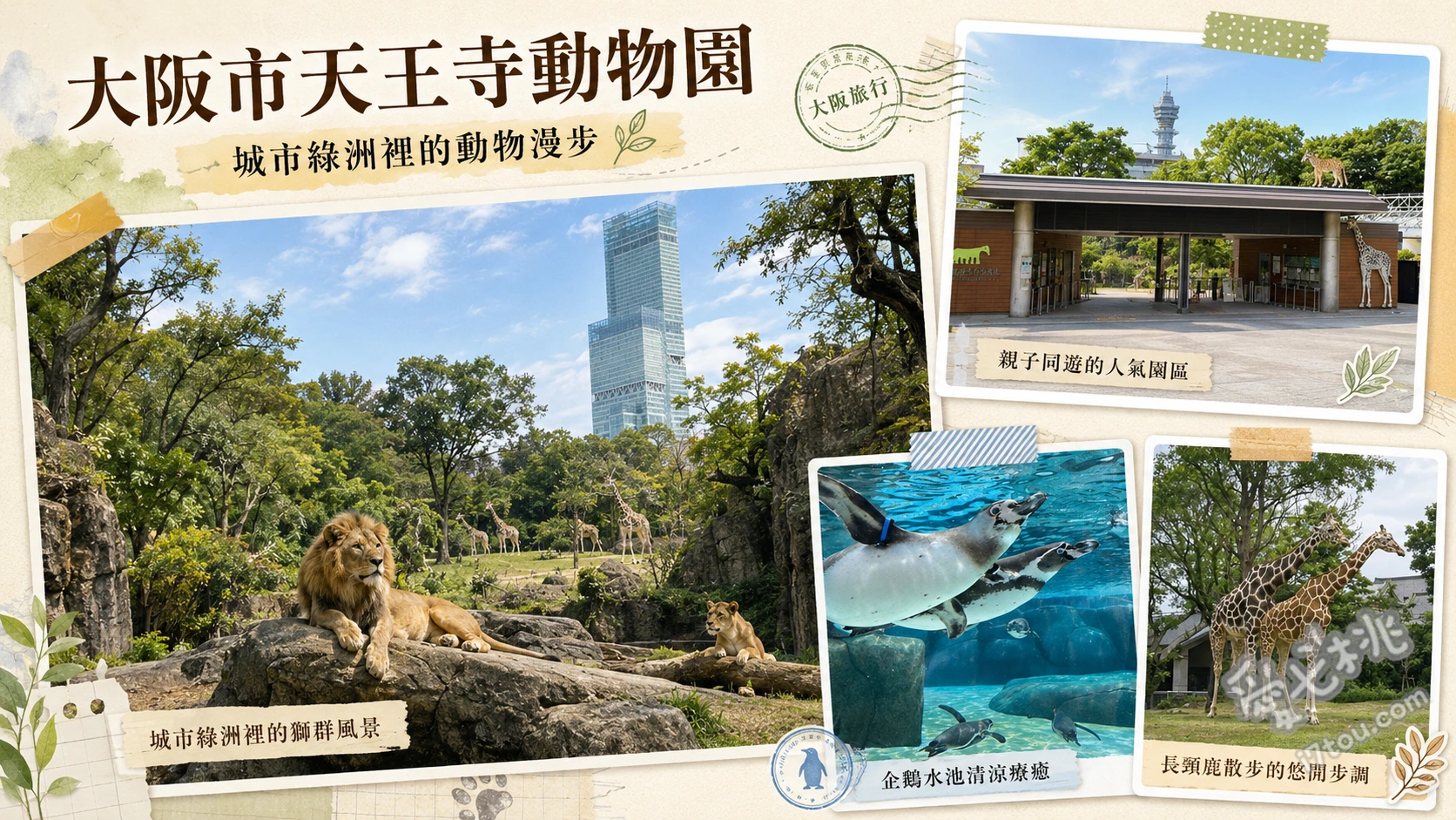 大阪市天王寺動物園｜大阪周遊卡免費必訪高CP親子景點 北極熊生態展示區與餵食秀、夜行動物館（奇異鳥與蝙蝠）、由下往上仰望的透明企鵝泳池