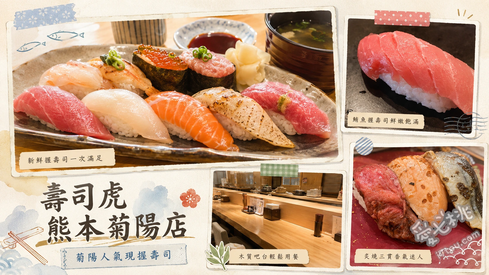 壽司虎熊本菊陽店｜九州必吃超人氣職人炙燒迴轉壽司 炙燒鮭魚腹壽司、炙燒生鮪魚、自家製布丁
