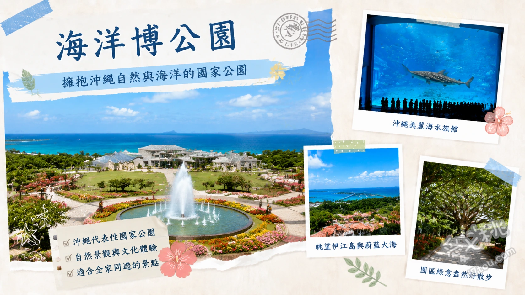 沖繩海洋博公園一日遊｜美麗海水族館與免費海豚秀全攻略 黑潮之海巨型水槽與鯨鯊、奧克醬海豚劇場免費表演、海龜館與海牛館近距離觀察