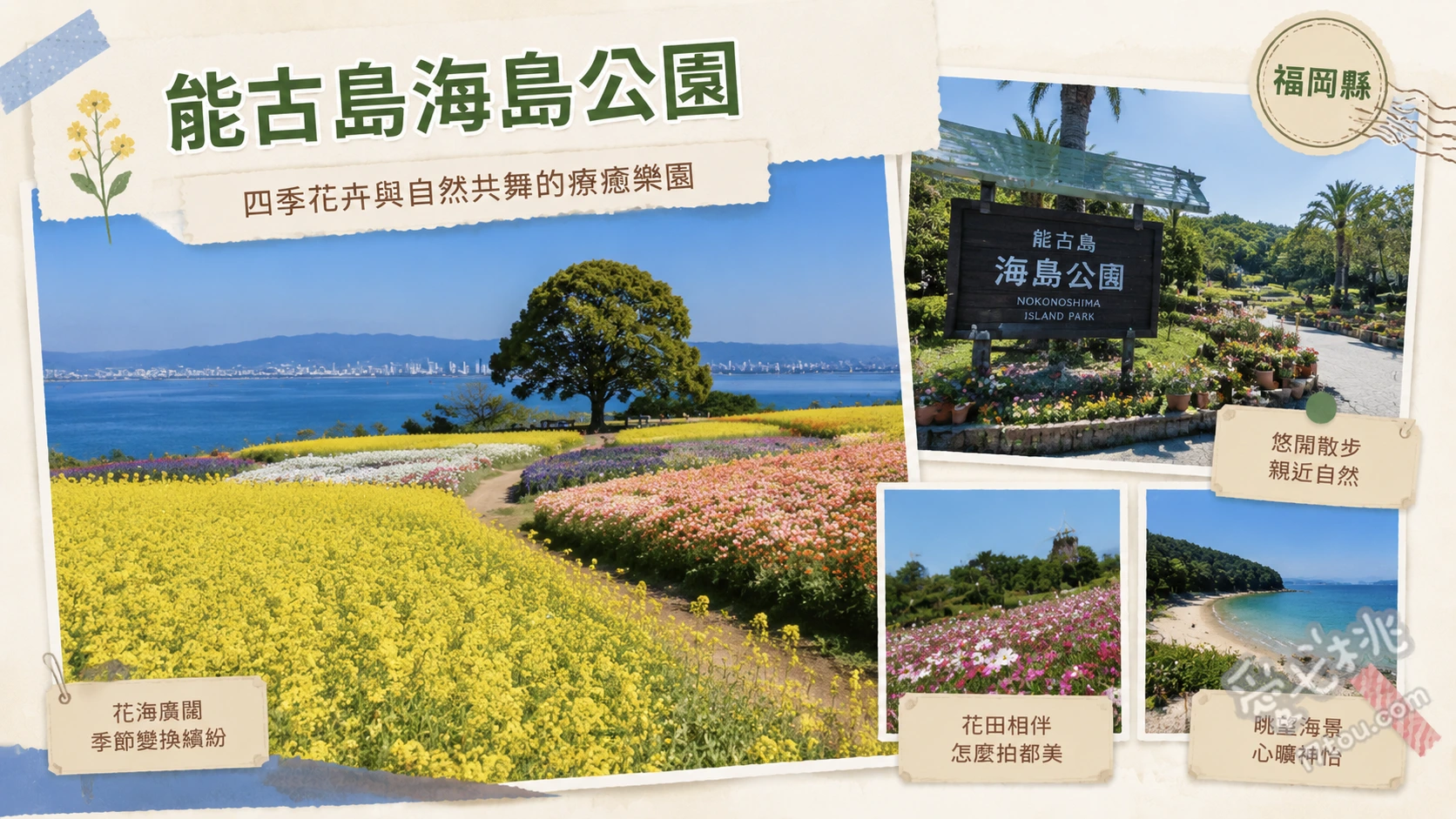 能古島海島公園｜福岡近郊絕美四季花海與無敵海景 四季花海與博多灣絕景、迷你動物園餵食體驗、昭和復古回憶大道與飛天鞦韆
