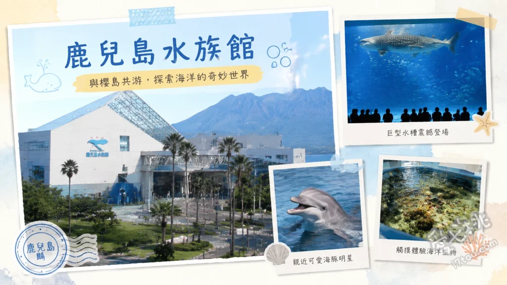 鹿兒島水族館｜黑潮大水槽與海豚水道，南九州必訪親子景點 黑潮大水槽看鯨鯊與魟魚、戶外海豚水道免費表演、5樓展望台眺望櫻島火山