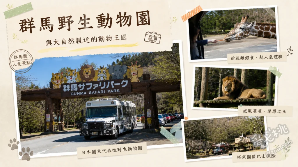 群馬野生動物園｜近距離餵食獅子！關東親子自駕必訪景點 搭乘叢林巴士體驗夾肉餵食獅子、在步行區近距離觀賞日本最多數量的白老虎、探訪親近動物公園觸摸水豚與袋鼠