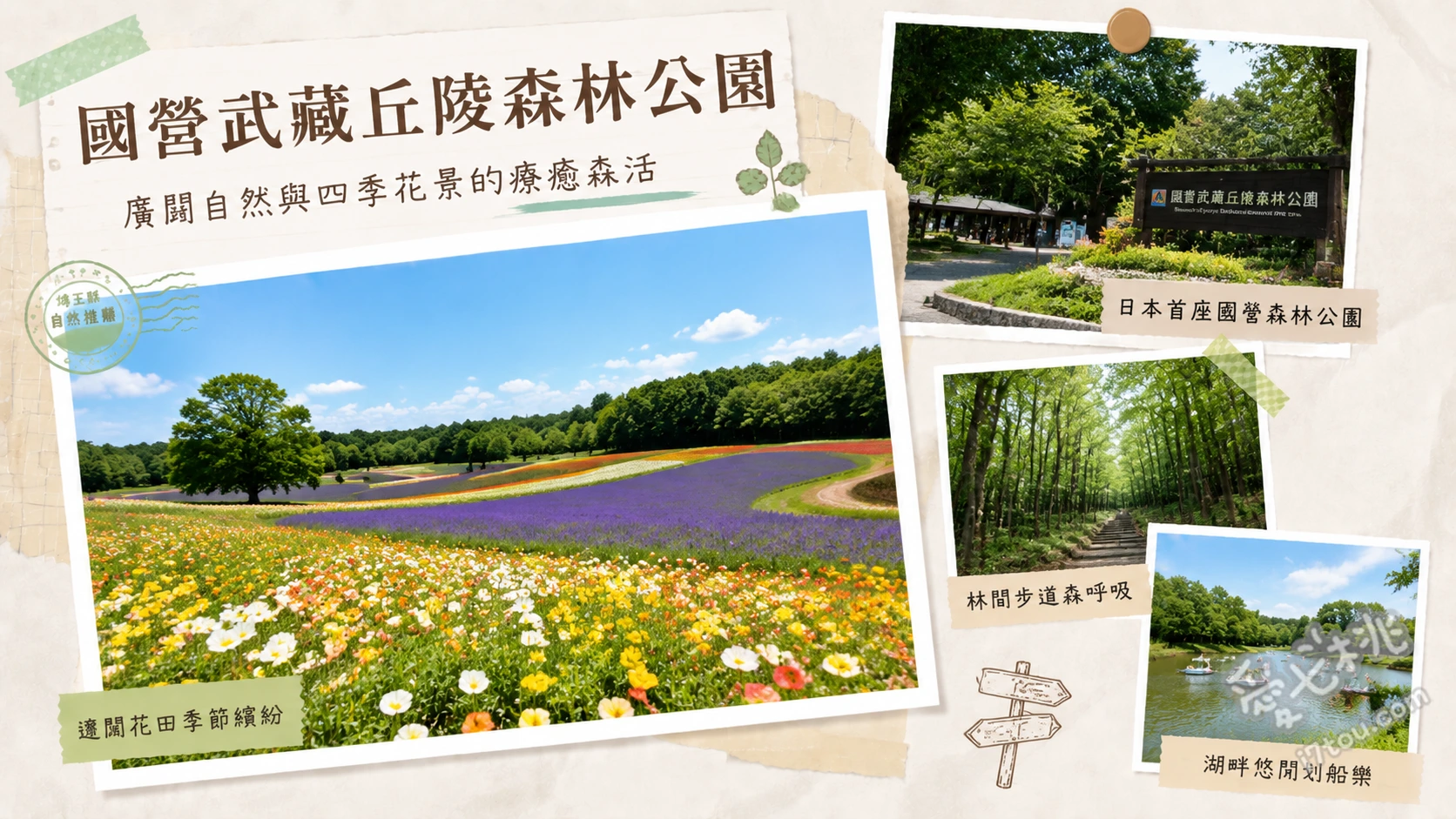 埼玉景點|國營武藏丘陵森林公園:賞花騎單車親子一日遊 西口廣場粉蝶花海、17公里森林單車道、秋季限定楓葉與掃帚草點燈