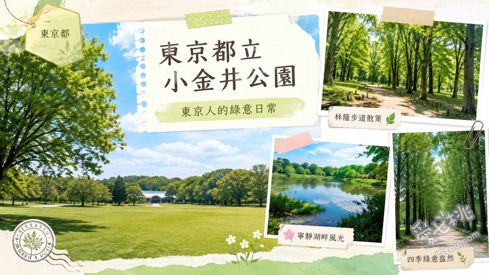 東京都立小金井公園｜東京近郊賞櫻百選名所與江戶建築巡禮 櫻之園（1700株櫻花林）、江戶東京建築園（復古老宅）、兒童遊樂廣場（滑草場與彈跳床）