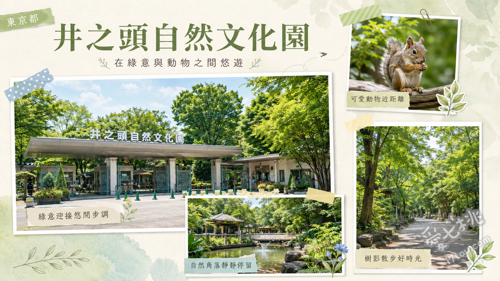 井之頭自然文化園｜吉祥寺高CP值親子動物園與松鼠小徑 松鼠小徑 (零距離觀察松鼠)、天竺鼠觸摸區 (需事先預約)、迷你遊樂園 (復古旋轉木馬)