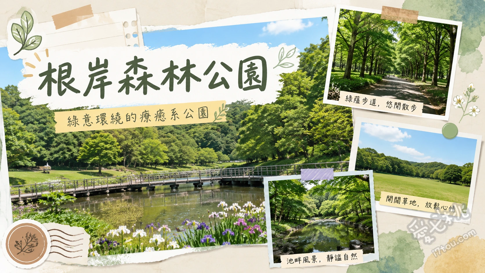根岸森林公園｜橫濱賞櫻野餐秘境，舊賽馬場遺跡與廣闊大草坪 在廣闊的起伏大草坪野餐放空、欣賞舊根岸賽馬場一等看台遺跡、春季漫步於400株櫻花樹下的櫻山