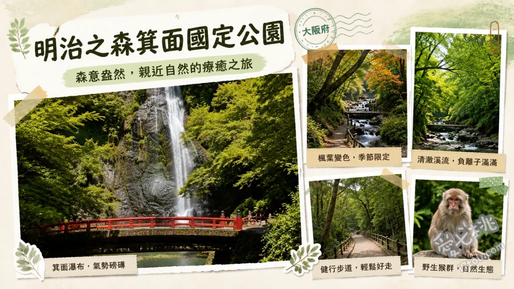 明治之森箕面國定公園｜大阪近郊賞楓秘境與百選瀑布絕景 箕面大瀑布（落差33公尺的日本百選瀑布）、瀧安寺與沿途紅葉步道、箕面公園昆蟲館（放蝶園）