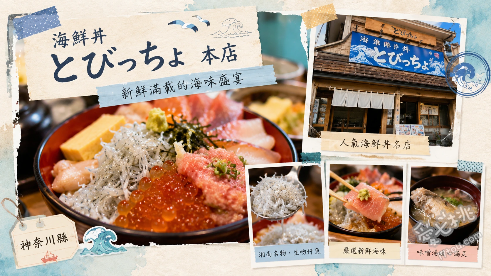 江之島必吃海鮮丼|とびっちょ本店:超狂吻仔魚雙拼與巨無霸炸餅 とびっちょ丼、生吻仔魚與釜揚吻仔魚雙拼丼、櫻花蝦吻仔魚炸餅