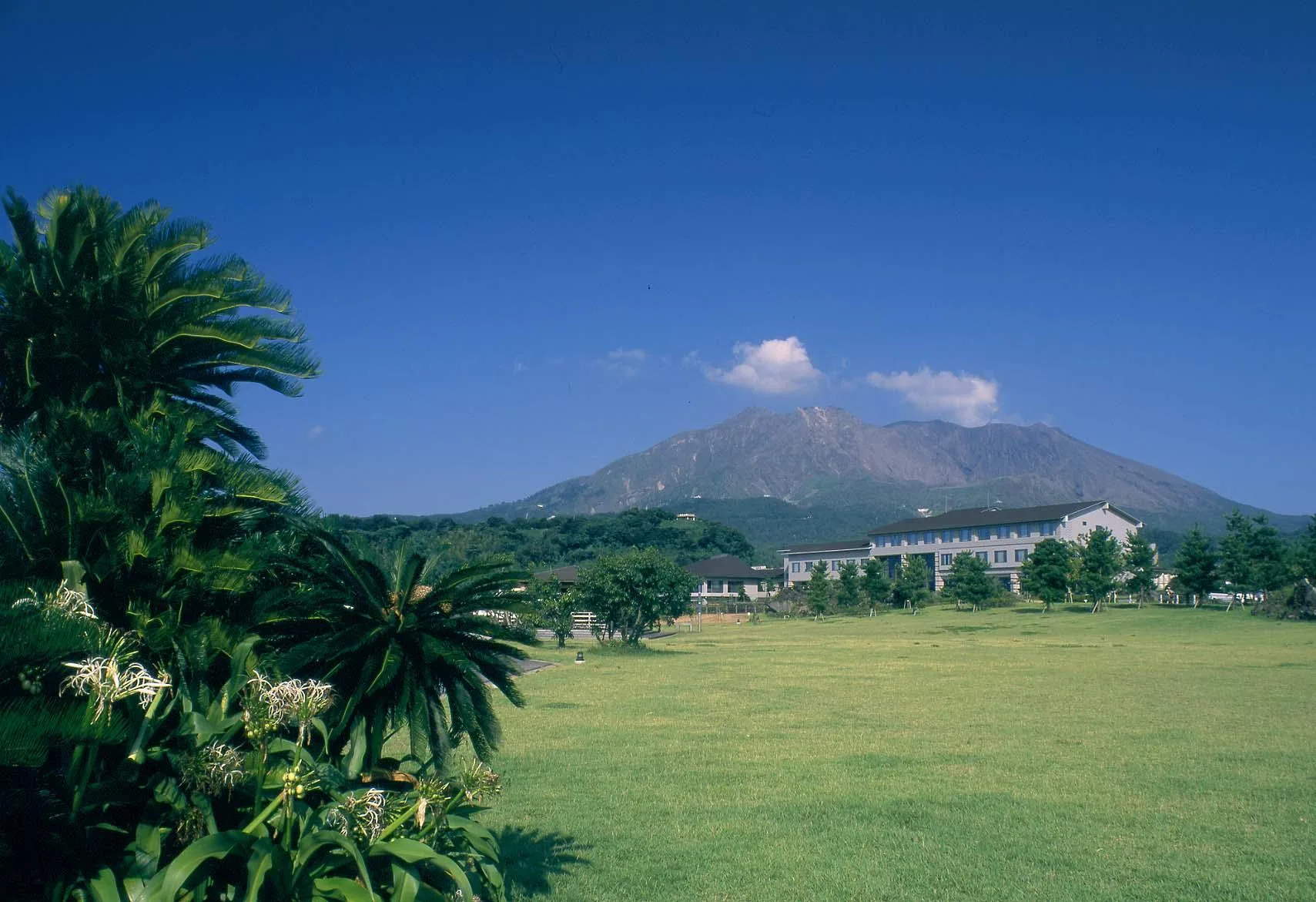 彩虹櫻島國民宿舍