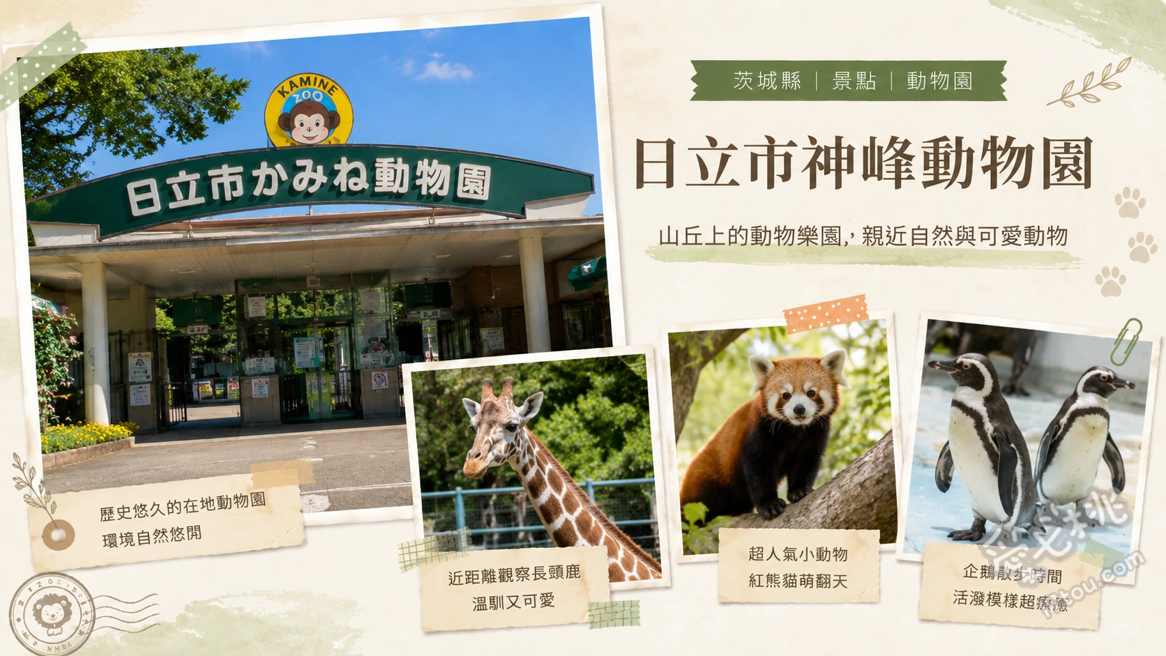 日立市神峰動物園|茨城必訪!門票520日圓高CP值海景動物園 全新翻修小熊貓屋與日本獼猴廣場、充滿熱帶叢林氛圍的爬蟲館、眺望太平洋的無敵海景與春季千株櫻花