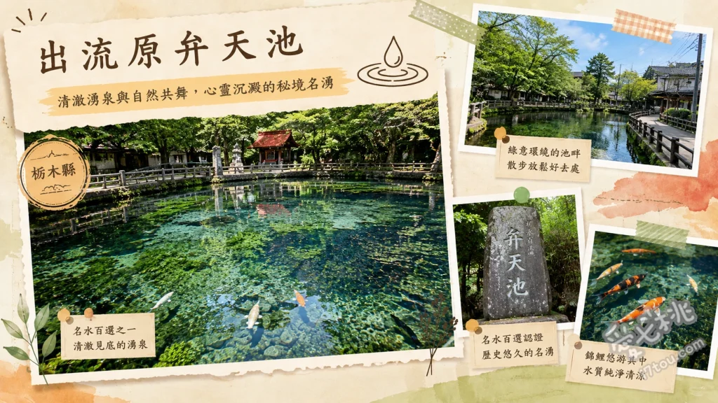 出流原弁天池｜關東莫內之池，清澈見底的日本名水百選 欣賞清澈見底的名水百選與悠游錦鯉、漫步至磯山弁財天欣賞朱紅懸造建築、捕捉雨後或清晨特有的夢幻水面氣嵐