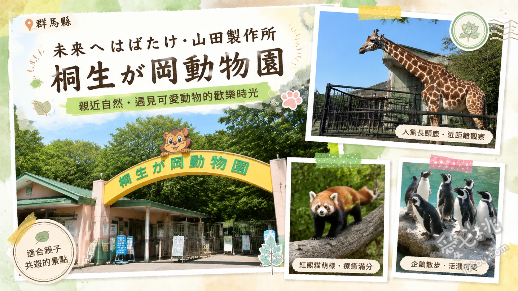 桐生之丘動物園|群馬免費親子景點,看獅子企鵝與紅熊貓 超萌紅熊貓與企鵝餵食觀察、魄力十足的獅子與長頸鹿區、附設的迷你水族館