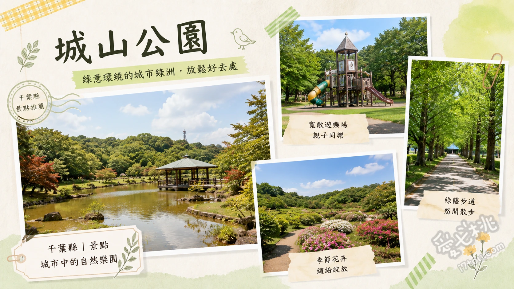 館山城山公園|眺望富士山絕景與里見八犬傳歷史巡禮 館山城天守閣登高望遠、尋訪關東富士見百景、四季花卉與孔雀園生態