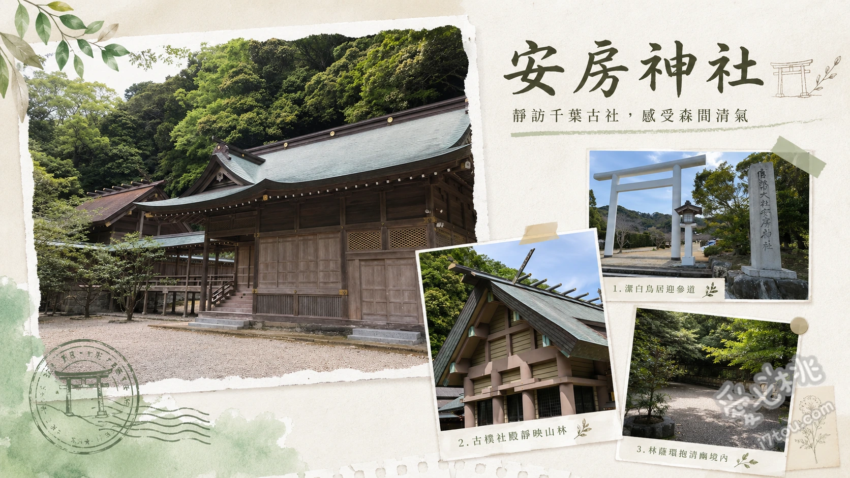 安房神社|千葉館山必訪日本三大金運神社,安房國一之宮參拜指南 白色大鳥居與櫻花參道、洞窟中的嚴島社、主祭神天太玉命本殿