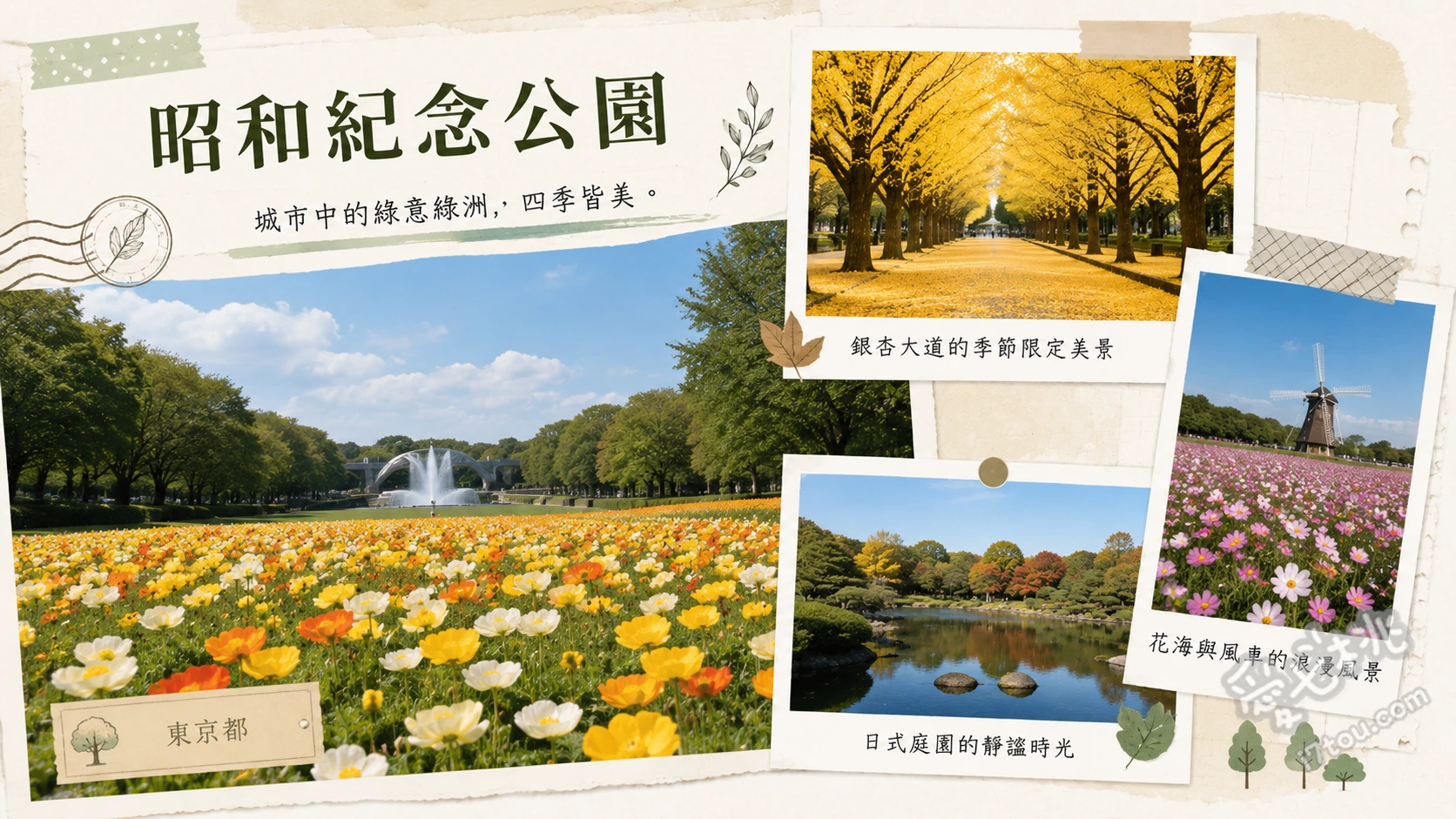 昭和紀念公園｜東京近郊賞花勝地，銀杏大道與四季絕美景觀 立川口運河銀杏大道、日本庭園池泉造景、兒童森林巨型設施
