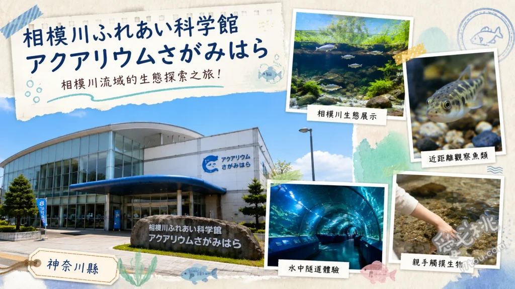 相模川ふれあい科学館｜神奈川高CP值親子水族館，門票450日圓 40公尺長「河川水族箱」：重現相模川從源頭到出海口的生態、甜甜圈造型「坡道魚類觀察水槽」：近距離觀察水路秘密與魚群動態、戶外「湧泉與小溪水族箱」：超人氣的直接餵魚體驗