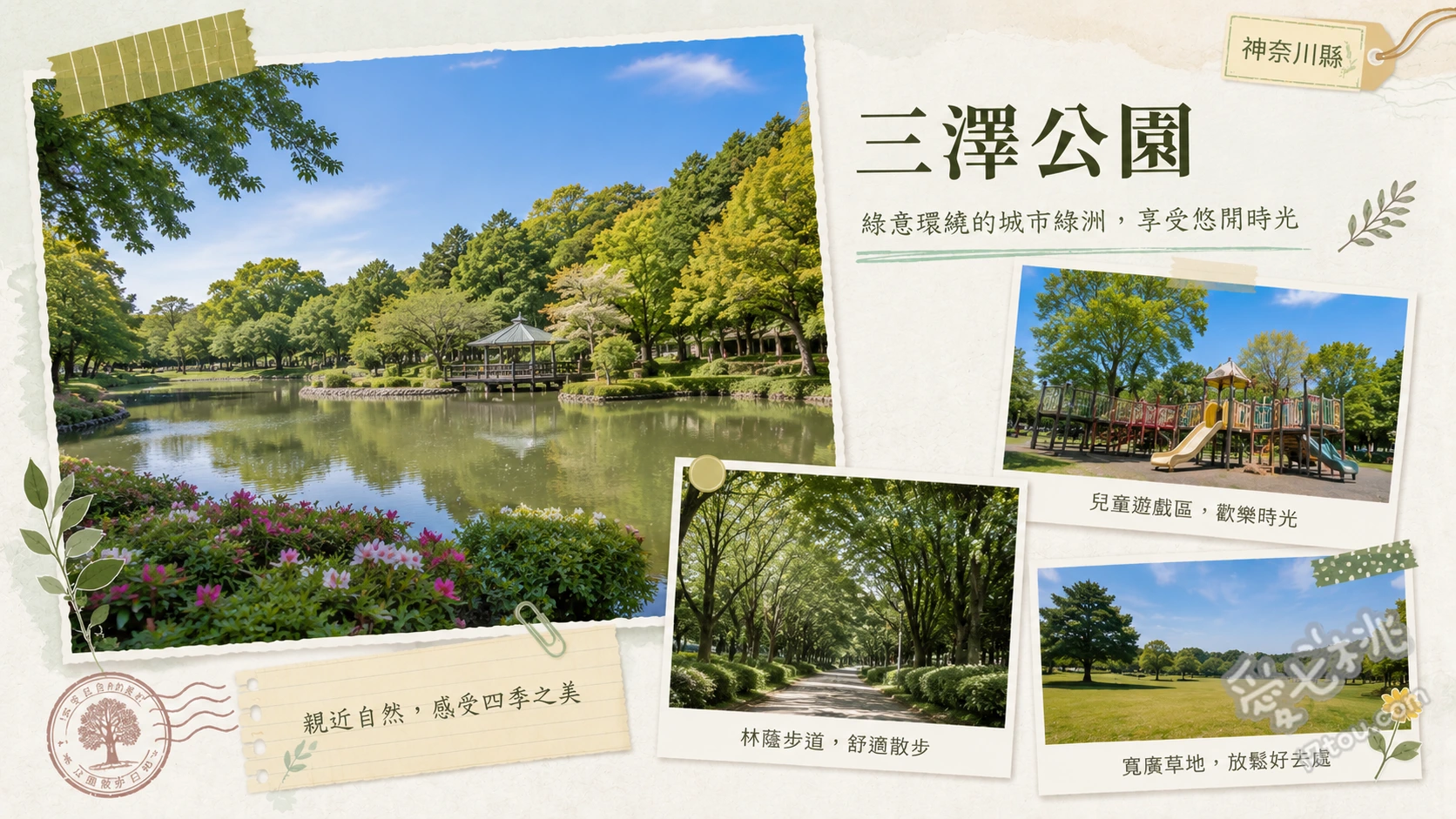 橫濱三澤公園｜在地人私藏運動休閒聖地與足球朝聖指南 朝聖熱血足球賽事、櫻山廣場季節賞花、林蔭步道慢跑散步