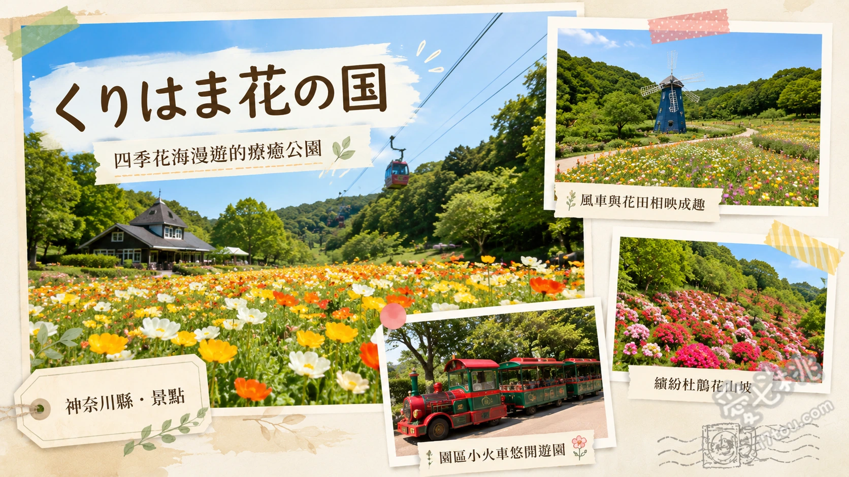 橫須賀久里濱花之國|巨大哥吉拉溜滑梯與百萬花海的親子聖地 10公尺高巨大哥吉拉溜滑梯、春季罌粟花與秋季百萬波斯菊花海、關東最大級香草園與足湯體驗