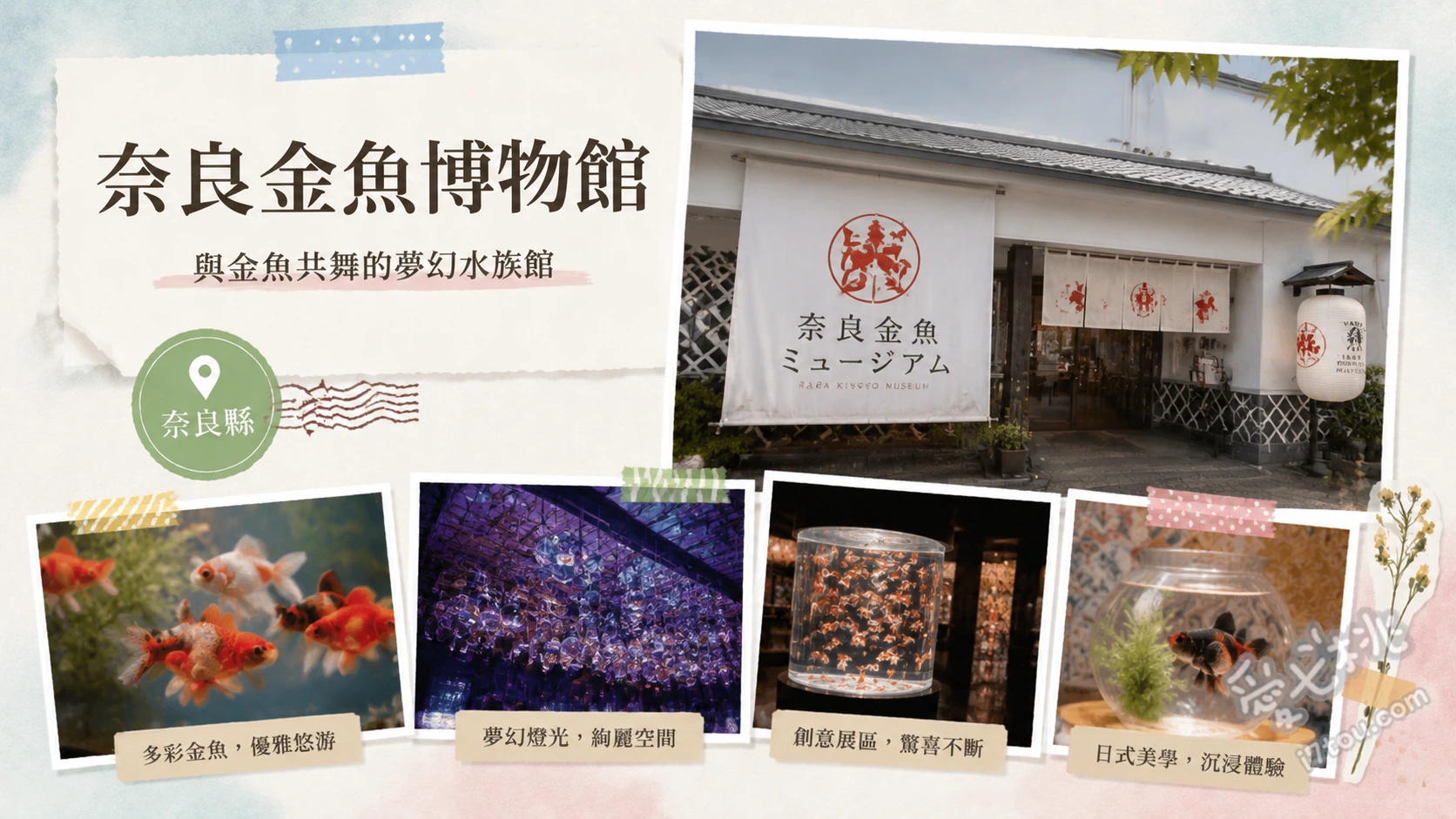 奈良金魚博物館｜情侶約會必訪！夢幻光影水族藝術展覽 JAPANESE AQUARIUM DISCO 鑽石切割水槽、JAPONE小路 江戶風情和傘燈光秀、錯視3D立體藝術區