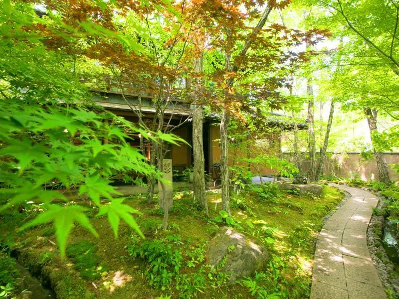 Nihon-no-Ashitaba