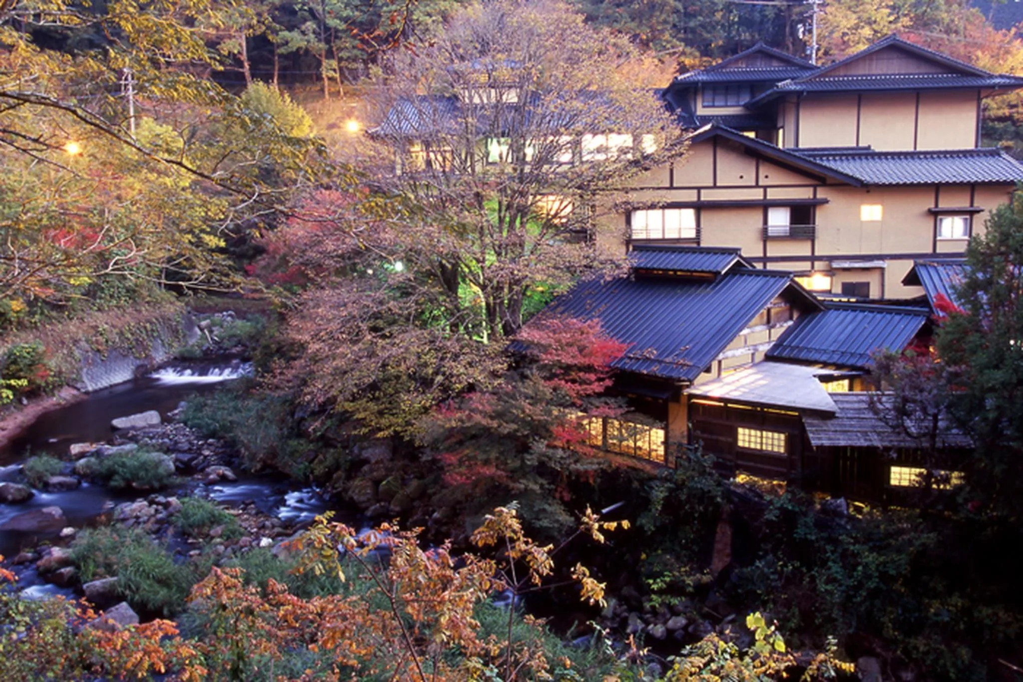 黑川溫泉瀨之本館夢龍膽