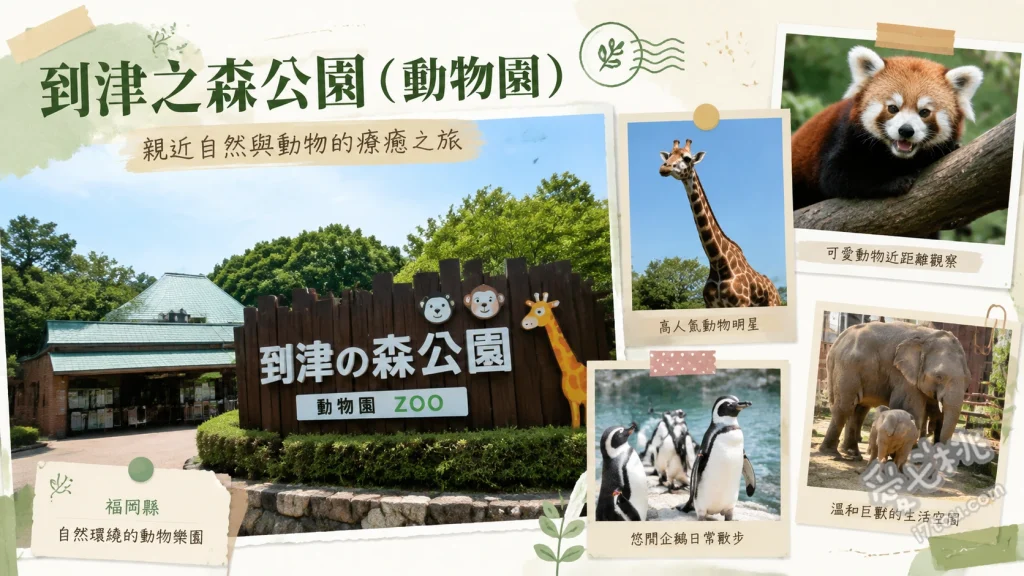 到津之森公園｜福岡北九州親子必訪動物園，近距離餵食體驗 近距離動物餵食體驗、兒童遊樂園區與摩天輪、季節花卉與大草皮區