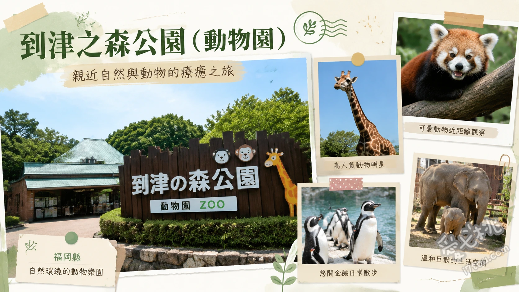 到津之森公園｜福岡北九州親子必訪動物園，近距離餵食體驗 近距離動物餵食體驗、兒童遊樂園區與摩天輪、季節花卉與大草皮區